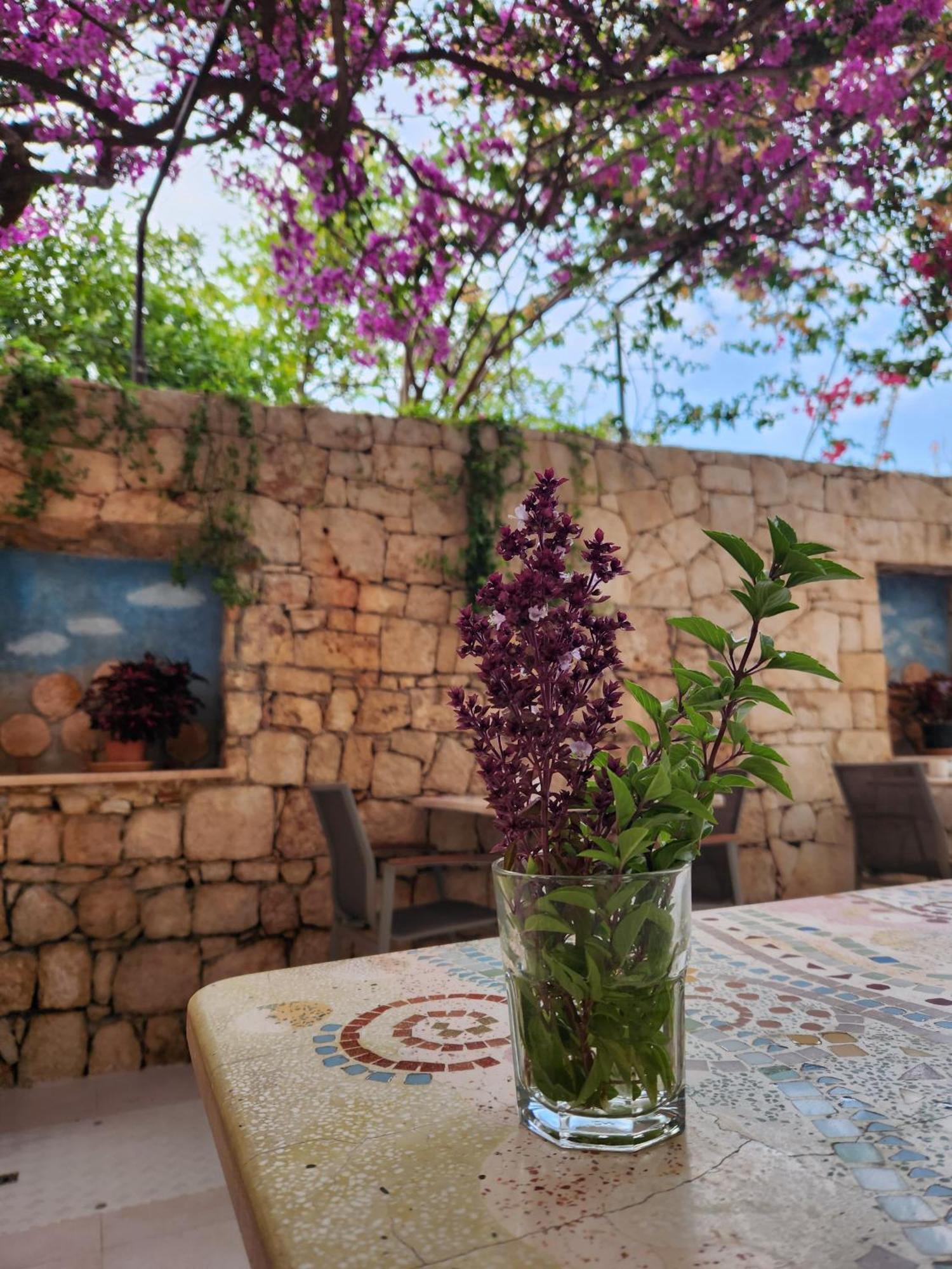 Hotel Begonvil Kaş Zewnętrze zdjęcie
